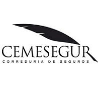 cemesegur.com